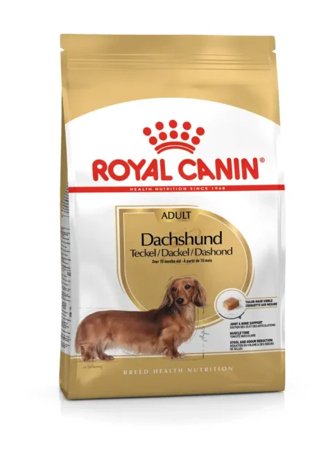 Alimento Royal Canin Dachshund Adult