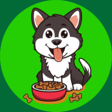 Alimento Perros
